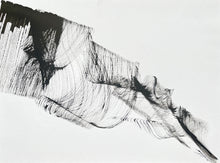 Charger l'image dans la galerie, Murmurations 29 IV 24 - 3