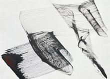 Charger l'image dans la galerie, Murmurations 29 IV 24 - 5