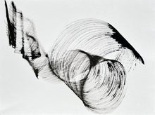 Charger l'image dans la galerie, Murmurations 29 IV 24 -1