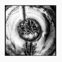 Carica l'immagine nel visualizzatore di Gallery, Coffee Omen 07 / 18.18.09.11