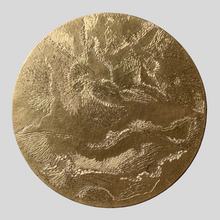 Charger l'image dans la galerie, Phénix