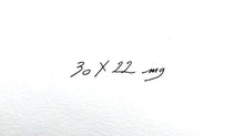 Carica l'immagine nel visualizzatore di Gallery, Signe 30 X 22