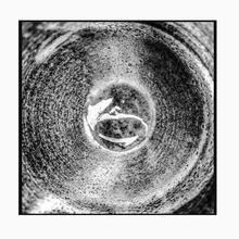 Charger l'image dans la galerie, Coffee Omen 19.06.02.09.23