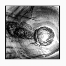 Charger l'image dans la galerie, Coffee Omen 18.12.12.10.14